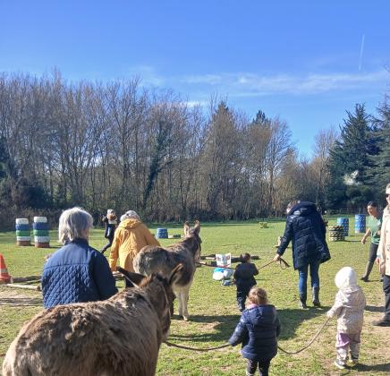 Balade en âne