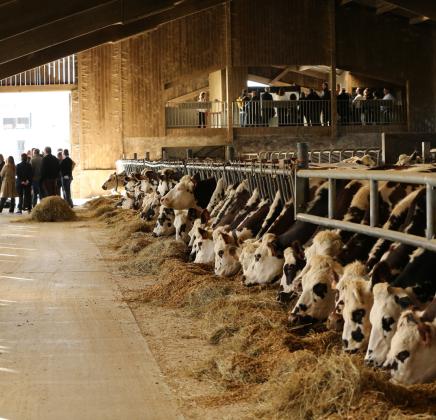 La ferme de la Haizerie de VYV 3 Normandie